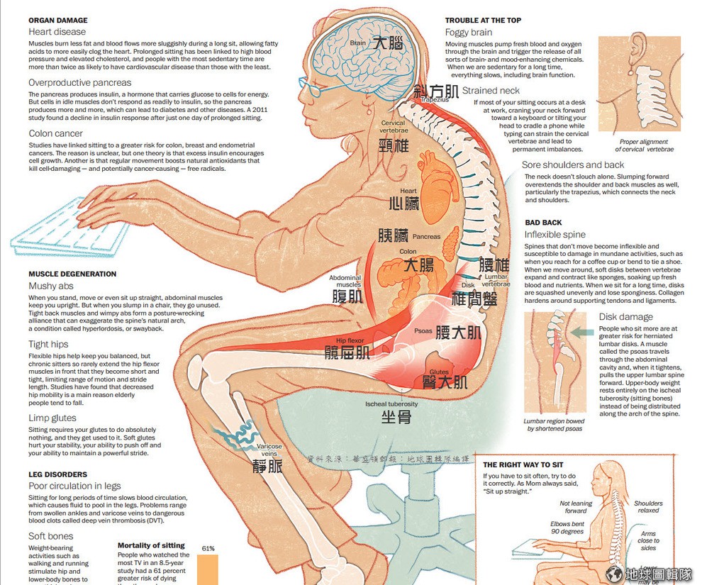 久坐不動的危害
