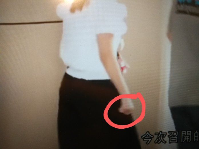 陳彥霖出庭「母親」