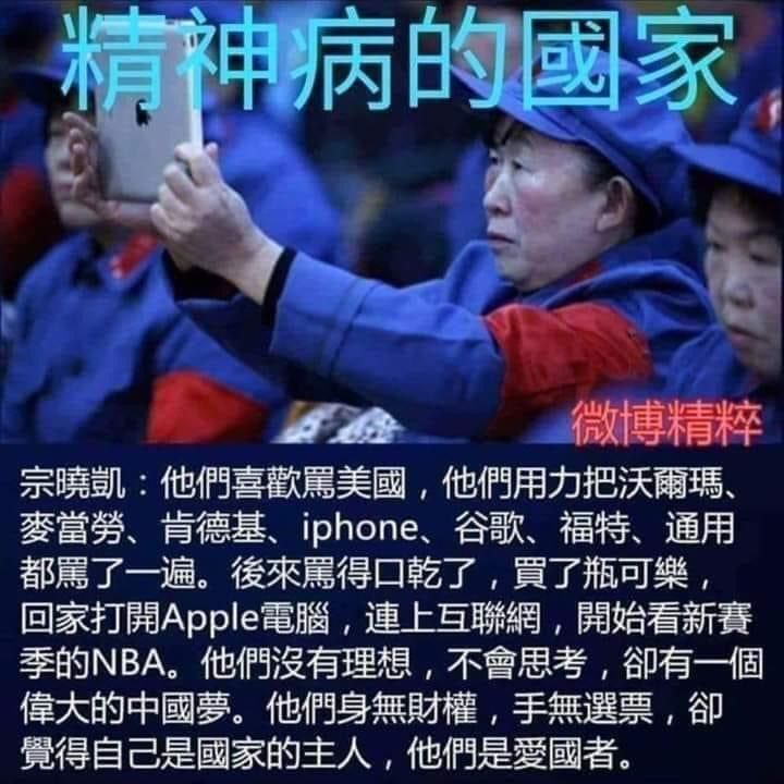 愛國腦殘小粉紅