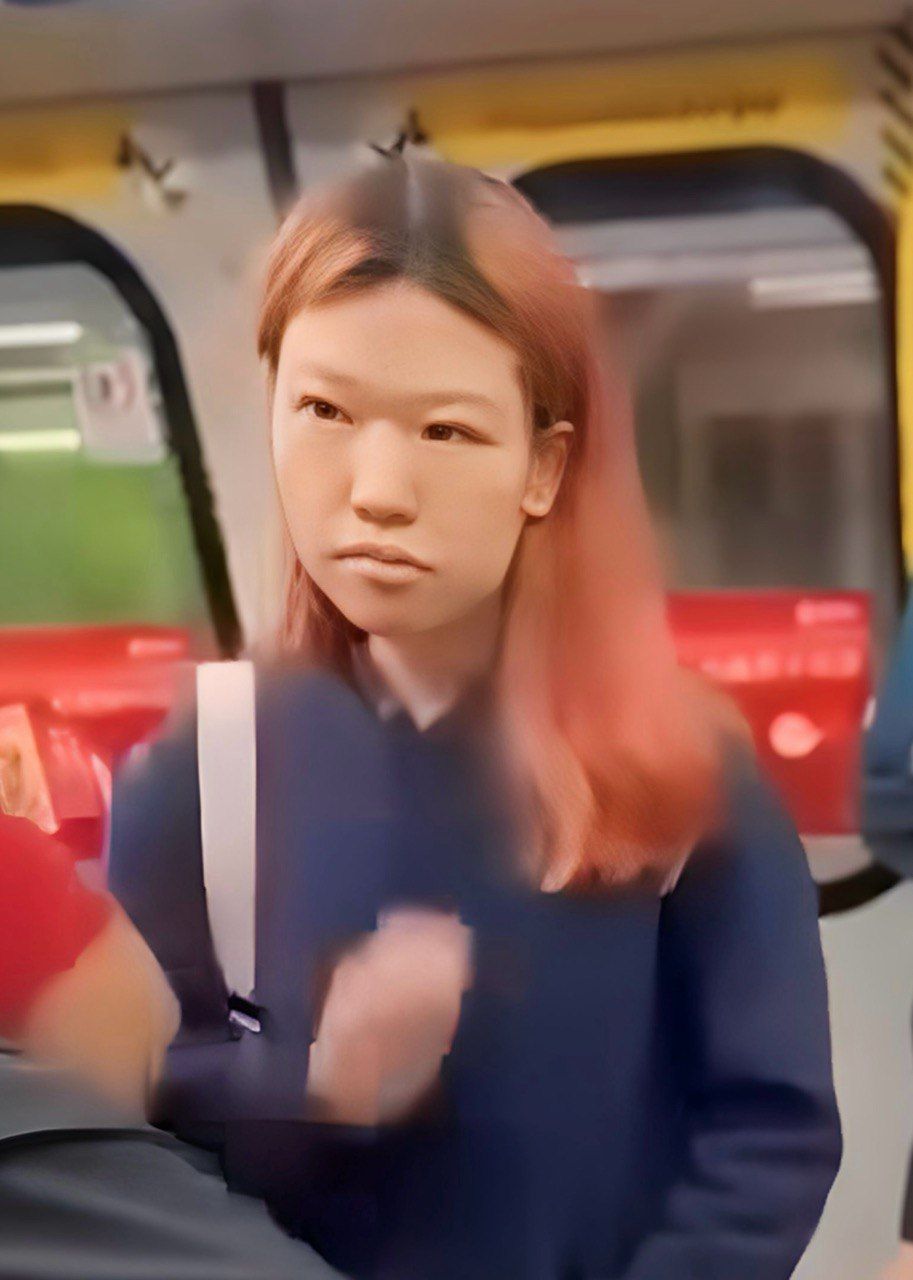 M痛公主港鐵踎地