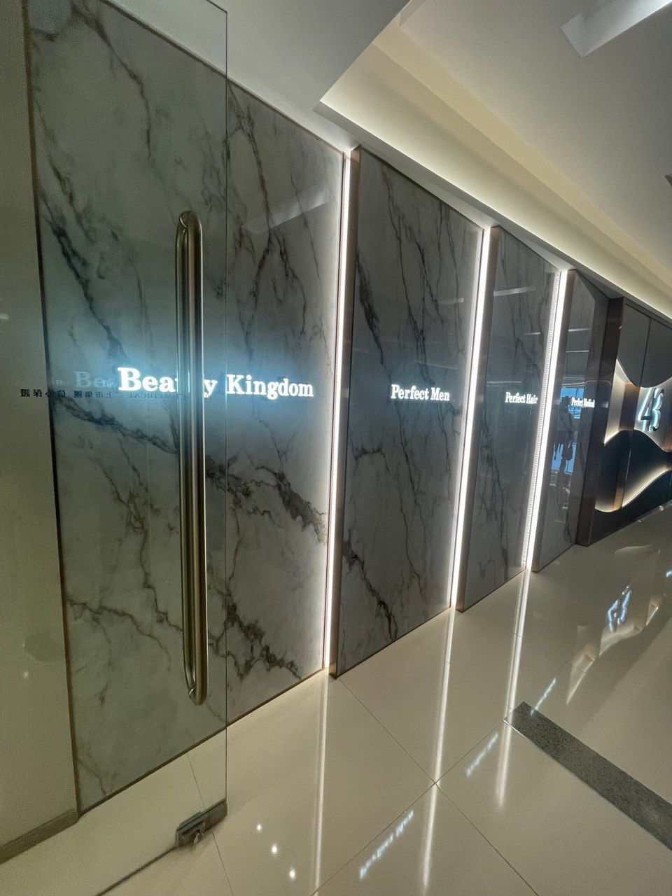 Beauty Kingdom Perfect man Perfect hair